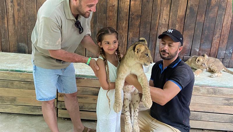 petting lion cubs dino safari alanya