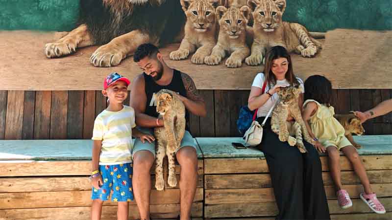photo with lion cubs on dino safari