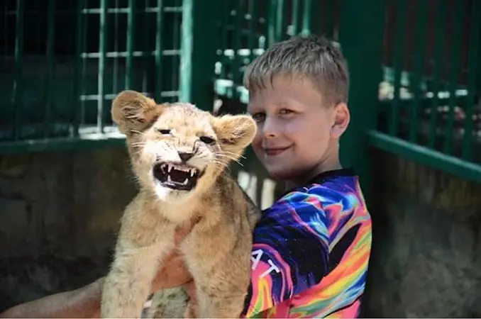 photo with lion cubs panther safari alanya