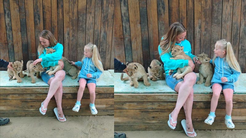 land of lions belek photo with lion